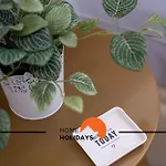 #264 Pool & Garden * البوفيرا
